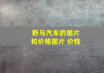 野马汽车的图片和价格图片 价钱